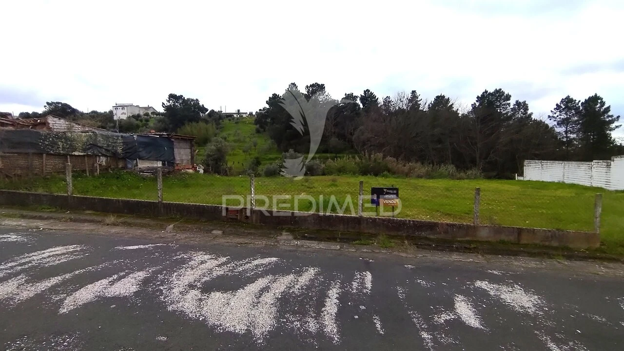 Terreno para Venda em Chamusca e Pinheiro Grande Foto 5