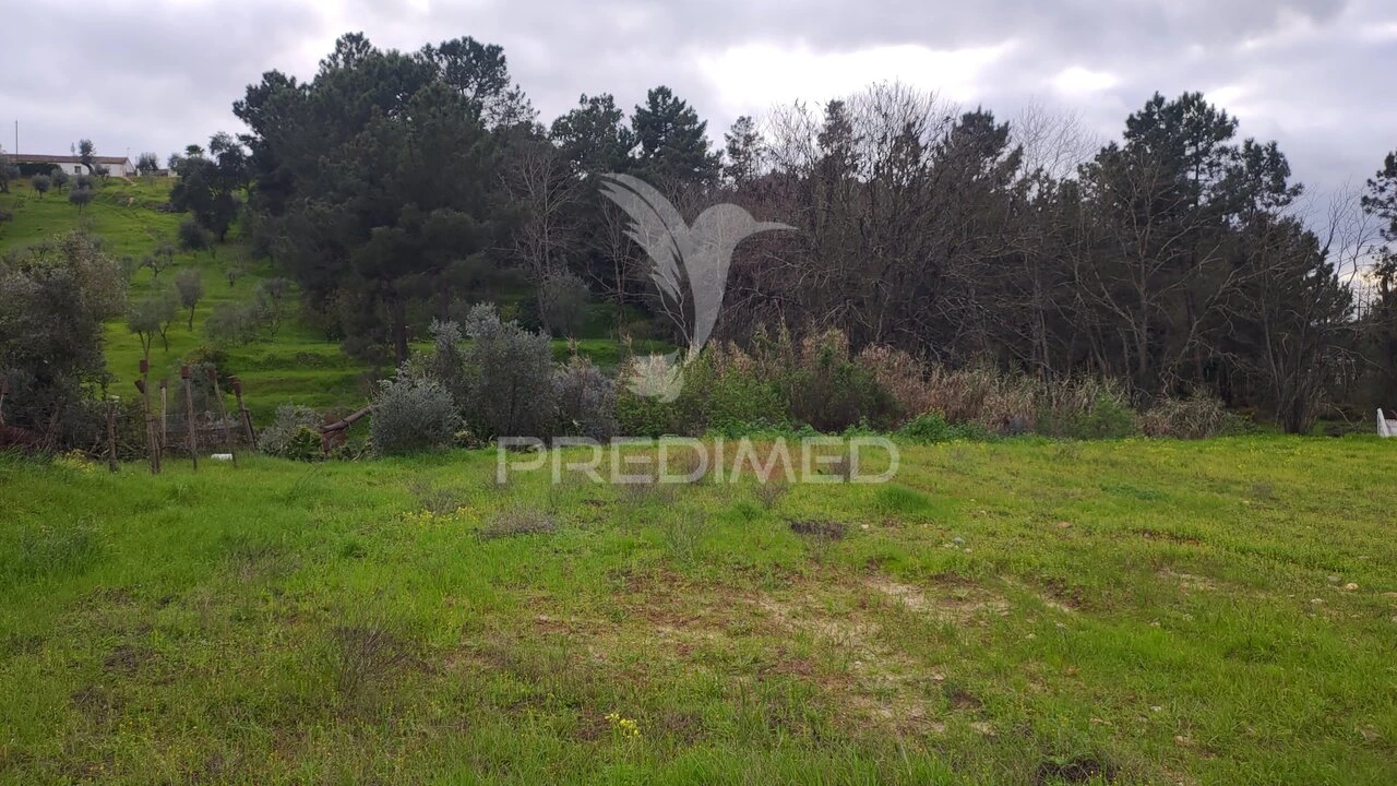 Terreno para Venda em Chamusca e Pinheiro Grande Foto 17