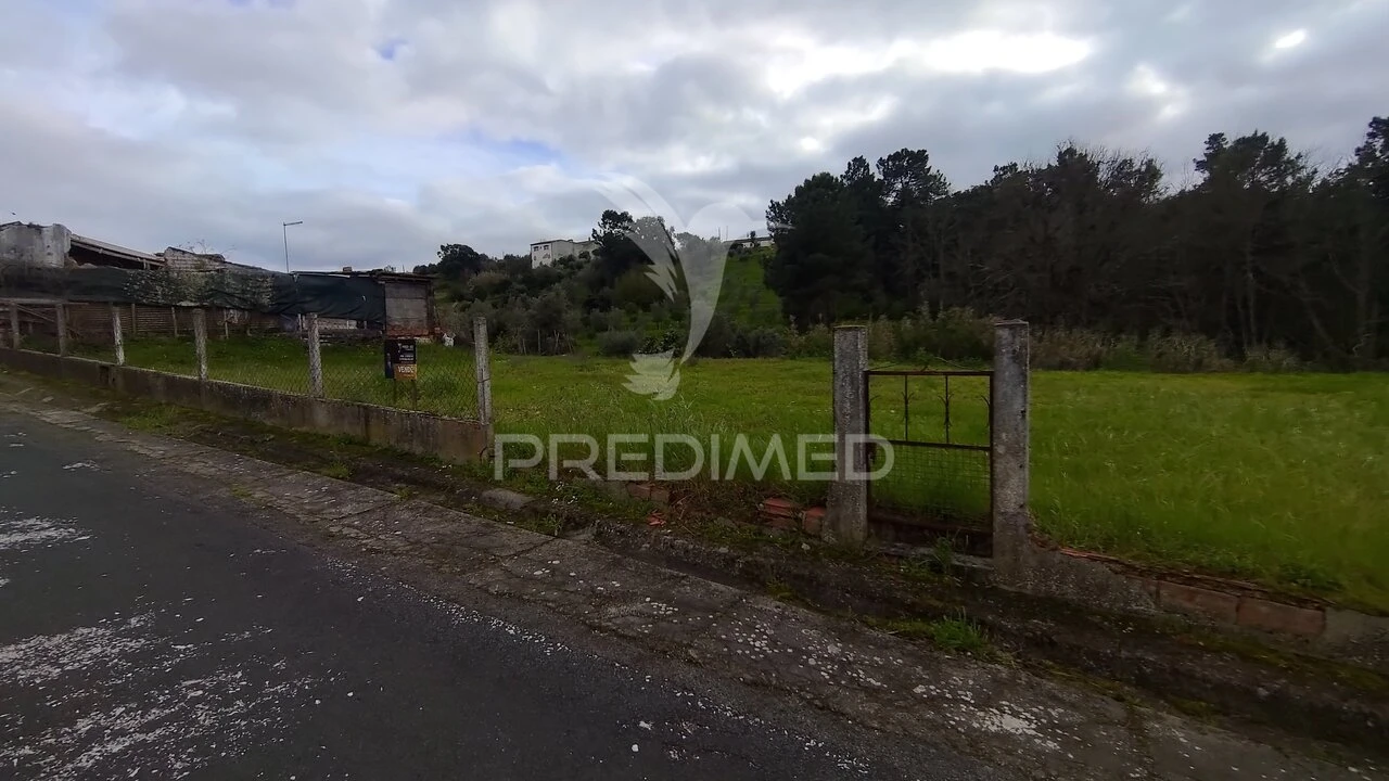 Terreno para Venda em Chamusca e Pinheiro Grande Foto 13