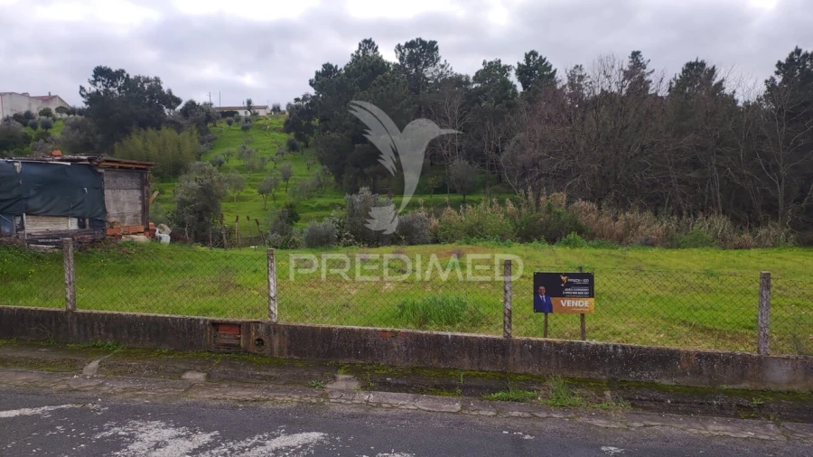 Terreno para Venda em Chamusca e Pinheiro Grande Foto 7