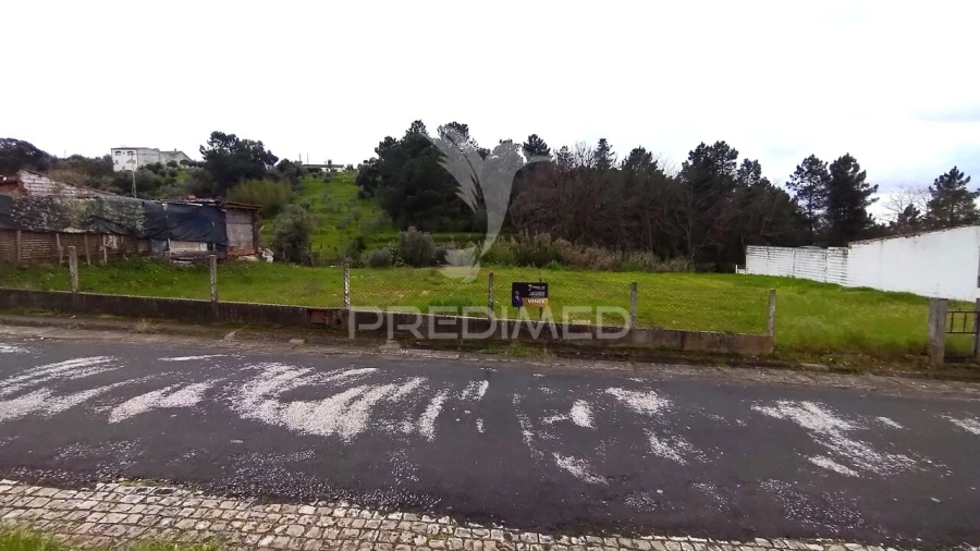 Terreno para Venda em Chamusca e Pinheiro Grande Foto 4