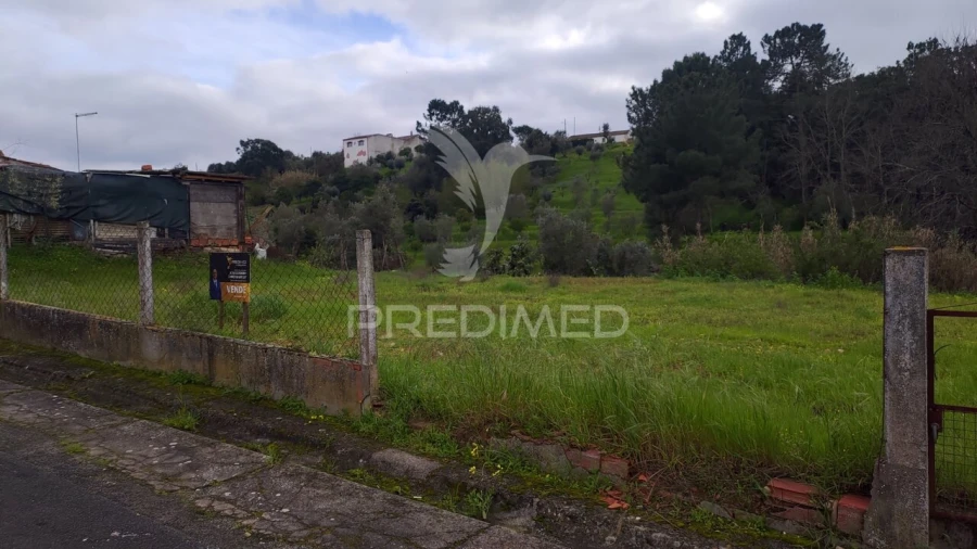 Terreno para Venda em Chamusca e Pinheiro Grande Foto 11