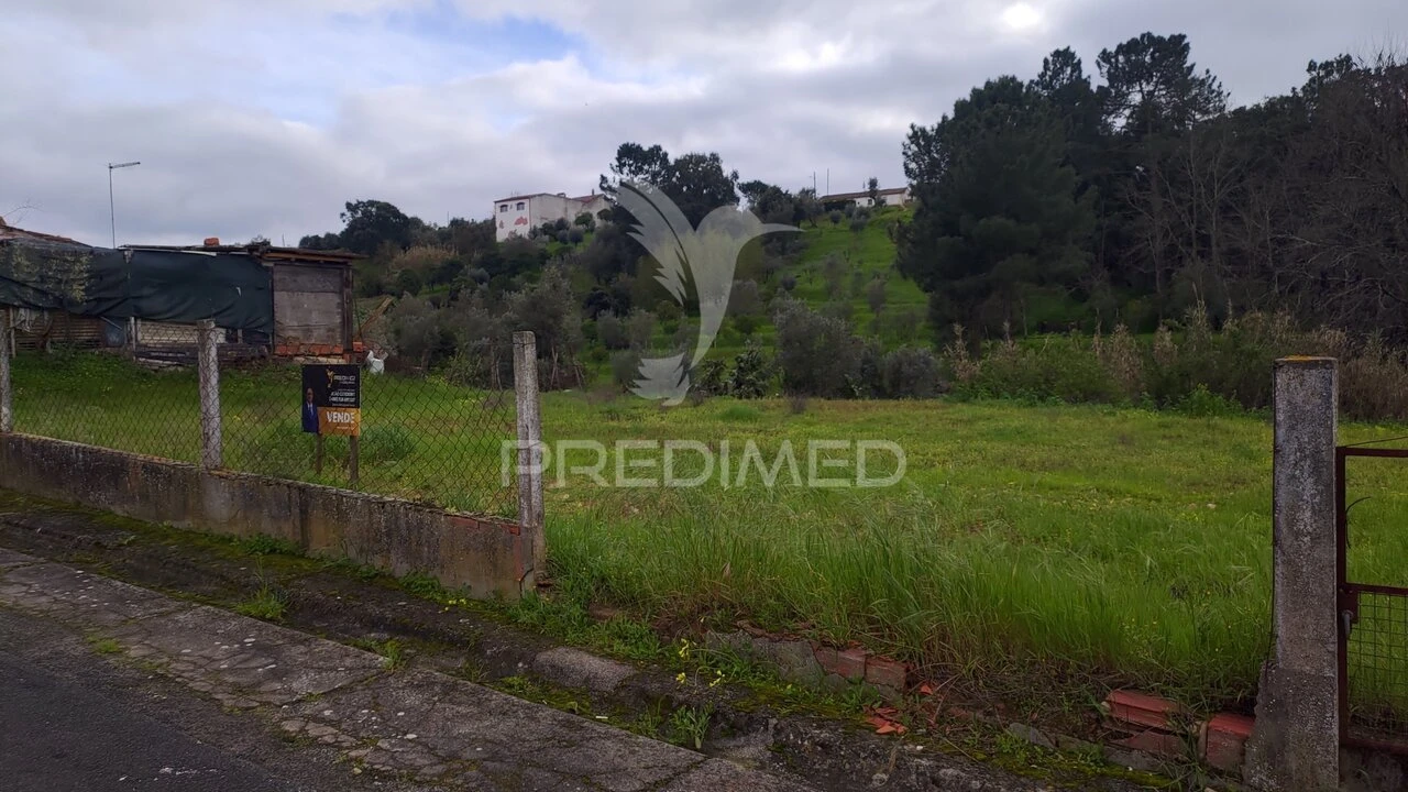 Terreno para Venda em Chamusca e Pinheiro Grande Foto 11