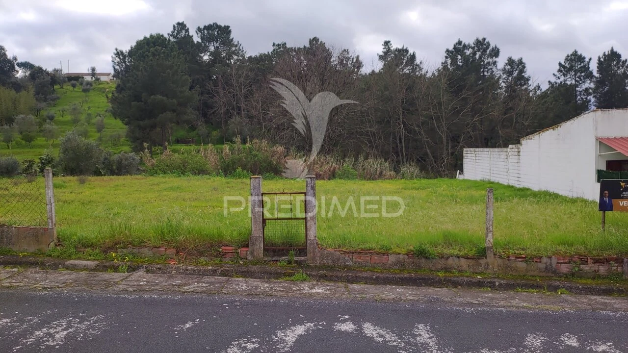 Terreno para Venda em Chamusca e Pinheiro Grande Foto 4