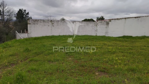 Terreno para Venda em Chamusca e Pinheiro Grande