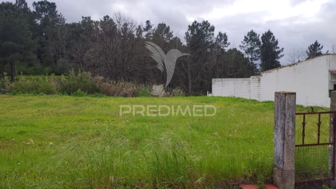 Terreno para Venda em Chamusca e Pinheiro Grande