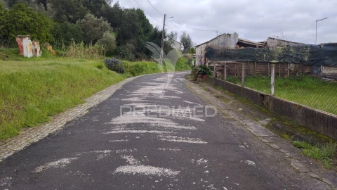 Terreno para Venda em Chamusca e Pinheiro Grande