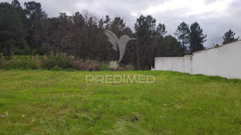 Terreno para Venda em Chamusca e Pinheiro Grande