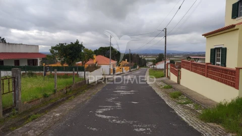 Terreno para Venda em Chamusca e Pinheiro Grande