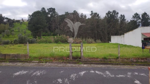 Terreno para Venda em Chamusca e Pinheiro Grande