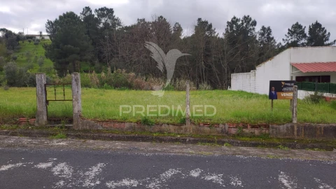 Terreno para Venda em Chamusca e Pinheiro Grande