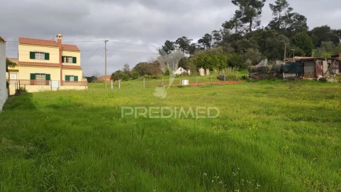 Terreno para Venda em Chamusca e Pinheiro Grande