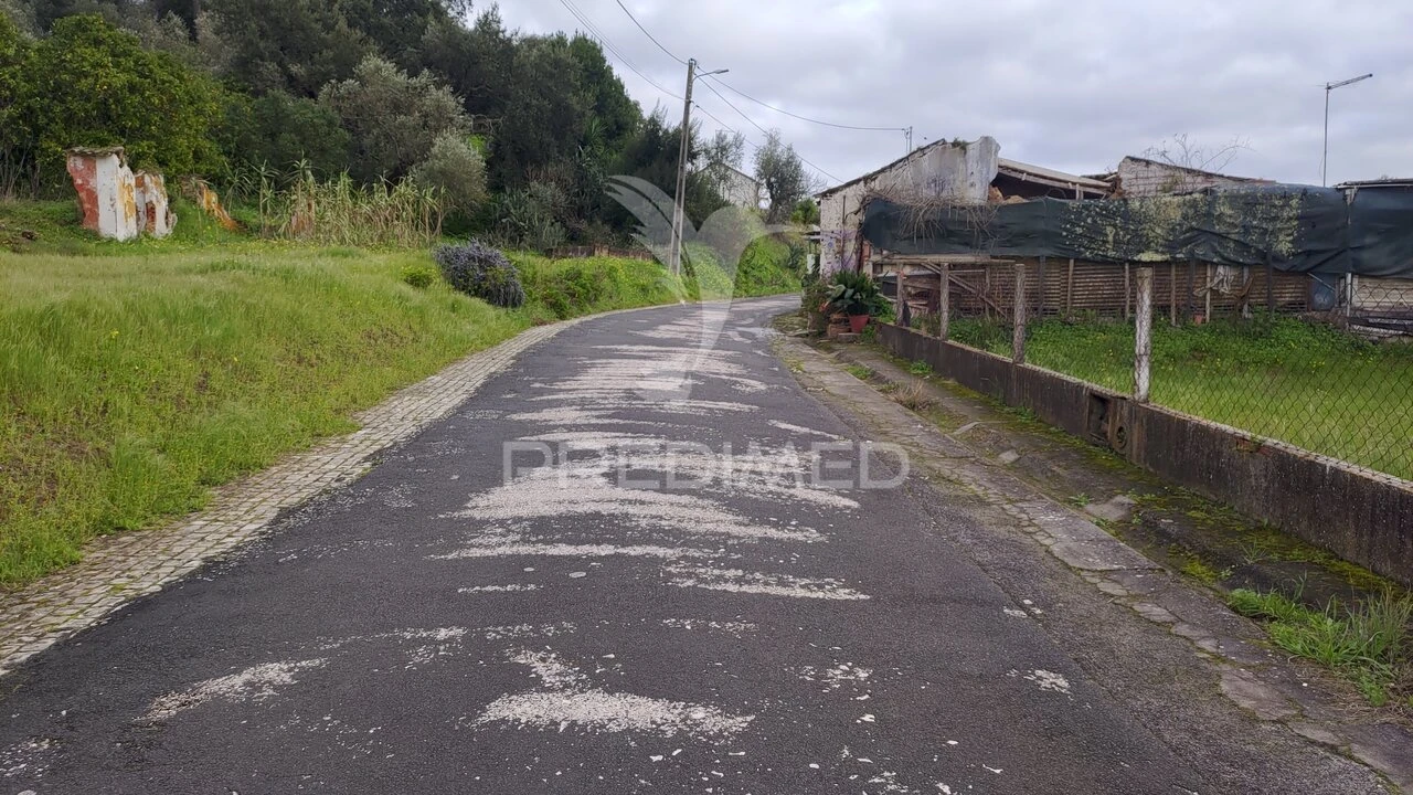 Terreno para Venda em Chamusca e Pinheiro Grande Foto 15