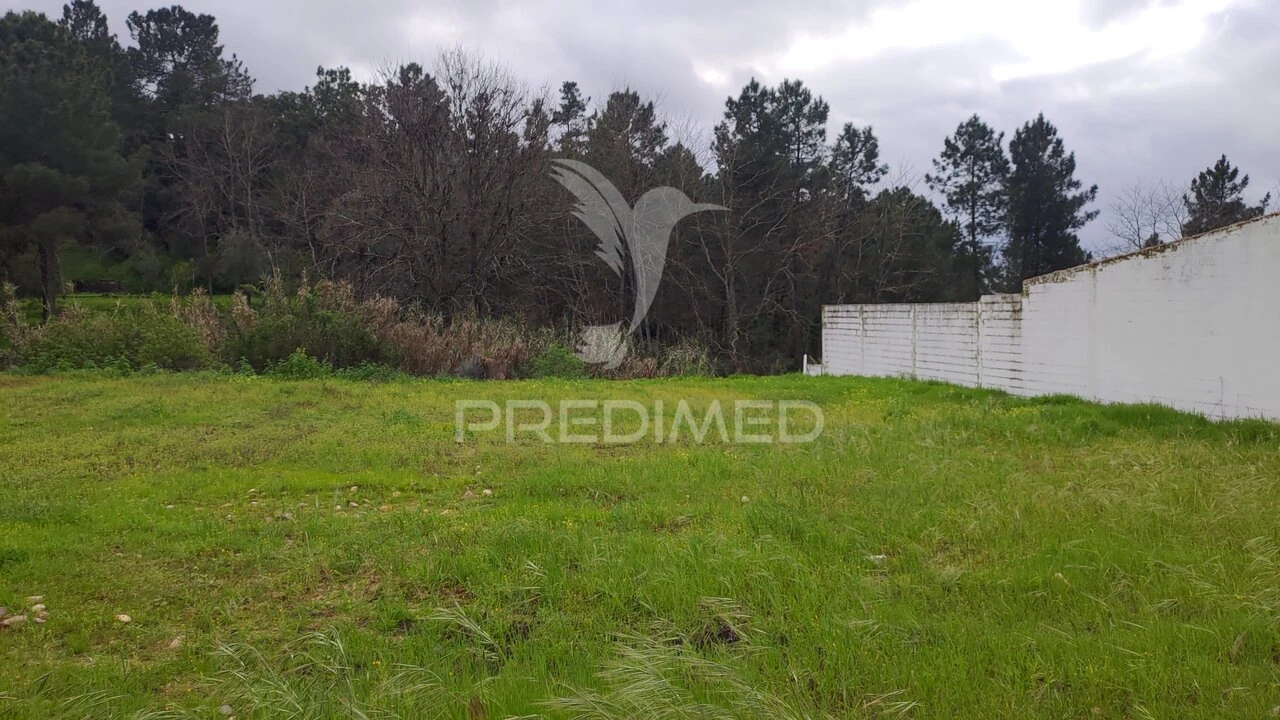 Terreno para Venda em Chamusca e Pinheiro Grande Foto 8