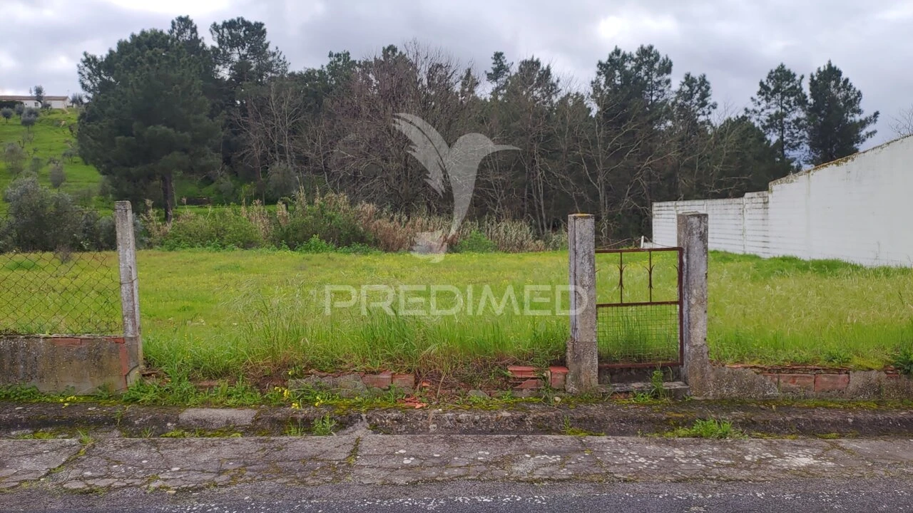 Terreno para Venda em Chamusca e Pinheiro Grande Foto 3