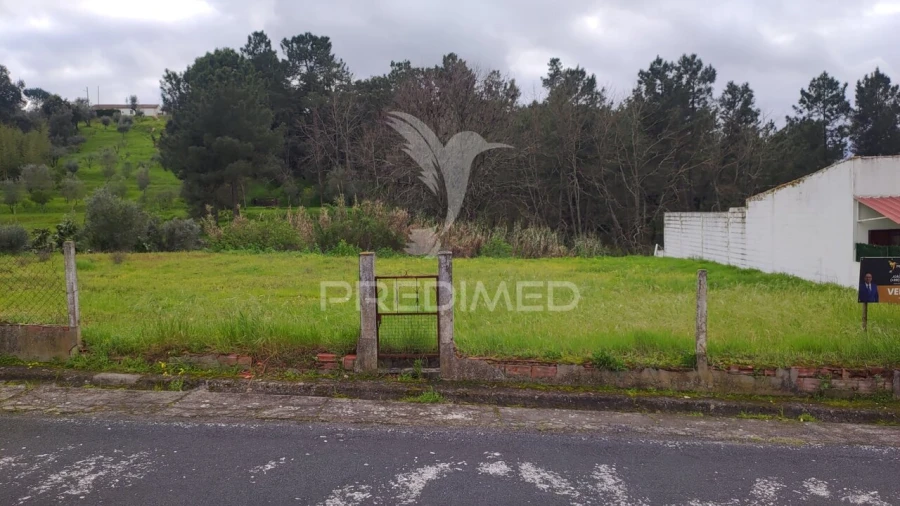 Terreno para Venda em Chamusca e Pinheiro Grande Foto 4