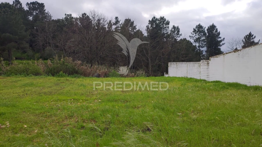 Terreno para Venda em Chamusca e Pinheiro Grande Foto 8