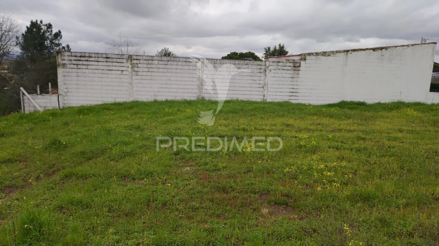 Terreno para Venda em Chamusca e Pinheiro Grande Foto 10