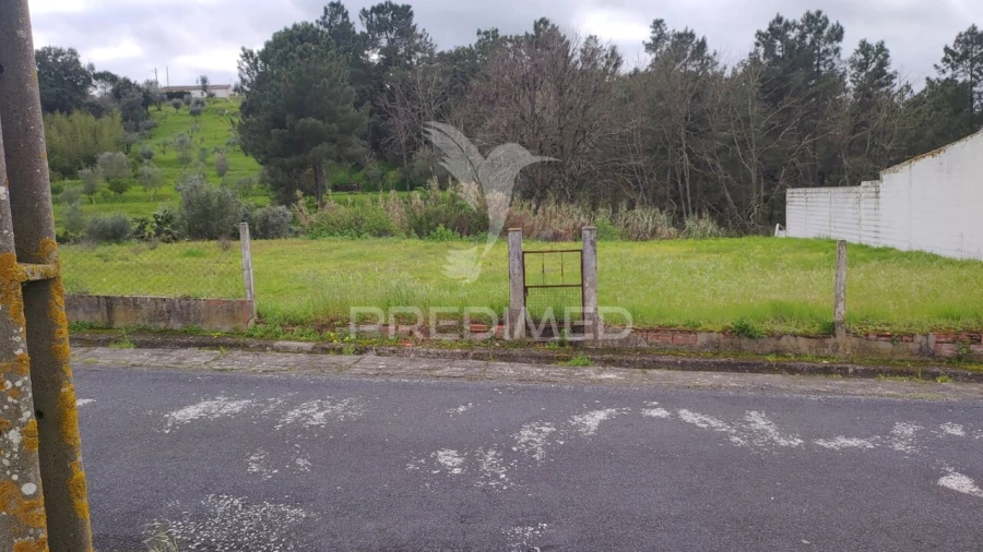 Terreno para Venda em Chamusca e Pinheiro Grande Foto 5