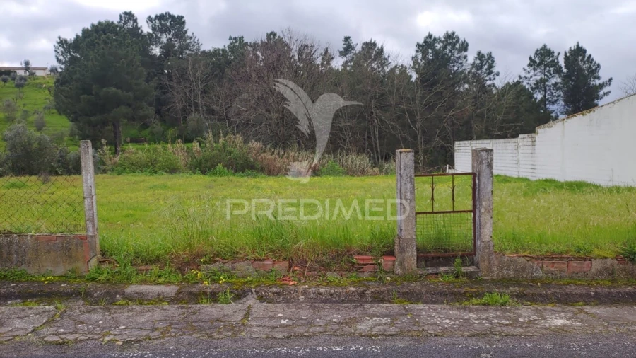 Terreno para Venda em Chamusca e Pinheiro Grande Foto 3