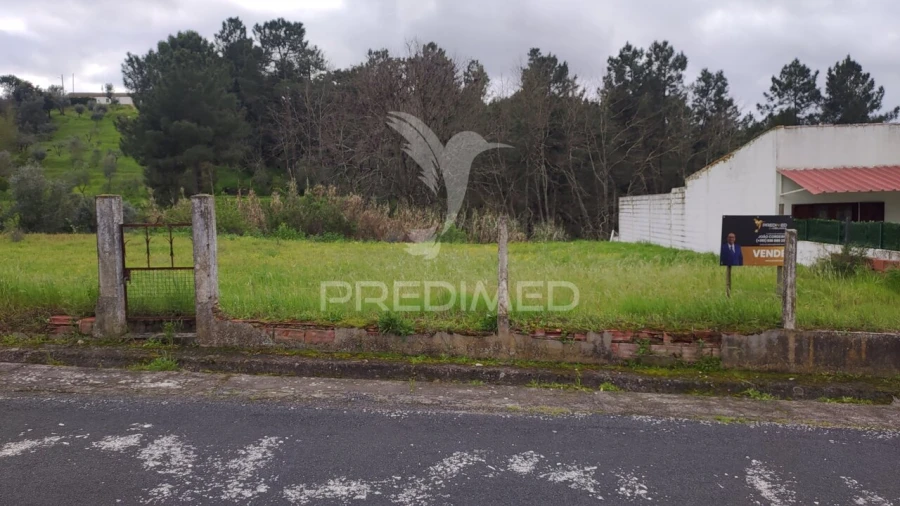 Terreno para Venda em Chamusca e Pinheiro Grande Foto 2