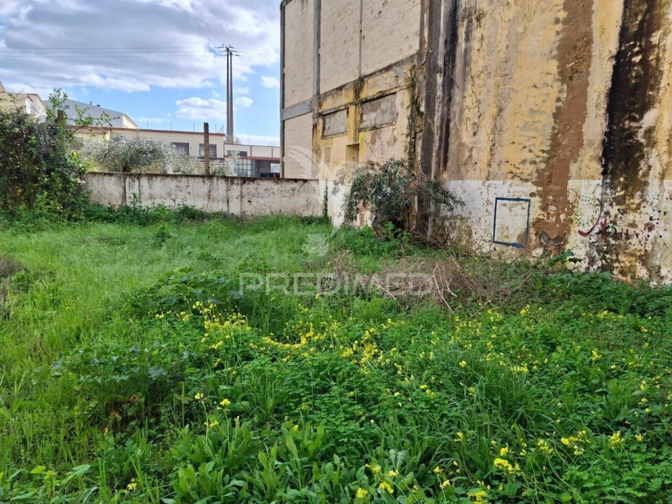 Armazém para Venda em São Miguel do Rio Torto e Rossio Ao Sul do Tejo Foto 5