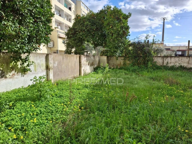 Armazém para Venda em São Miguel do Rio Torto e Rossio Ao Sul do Tejo Foto 5