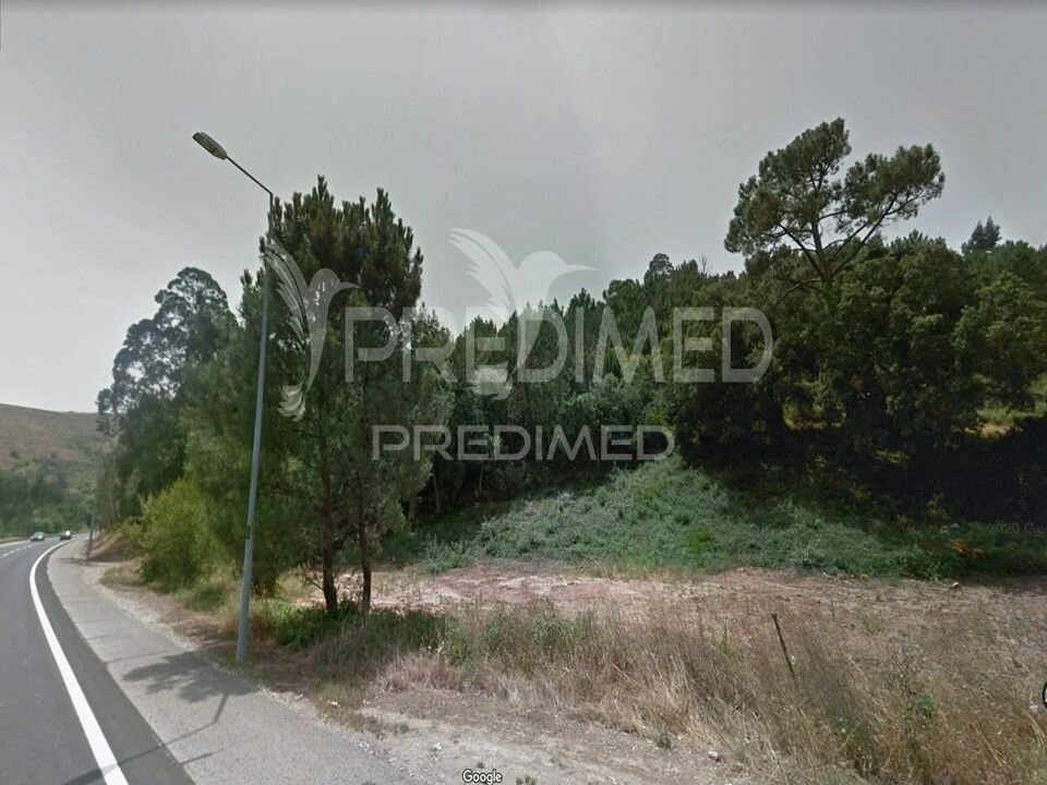 Terreno para Venda em Lousa Foto 4