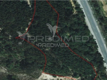 Terreno para Venda em Lousa