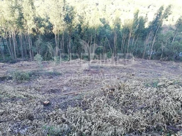 Terreno para Venda em Lousa
