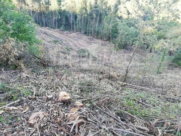 Terreno para Venda em Lousa