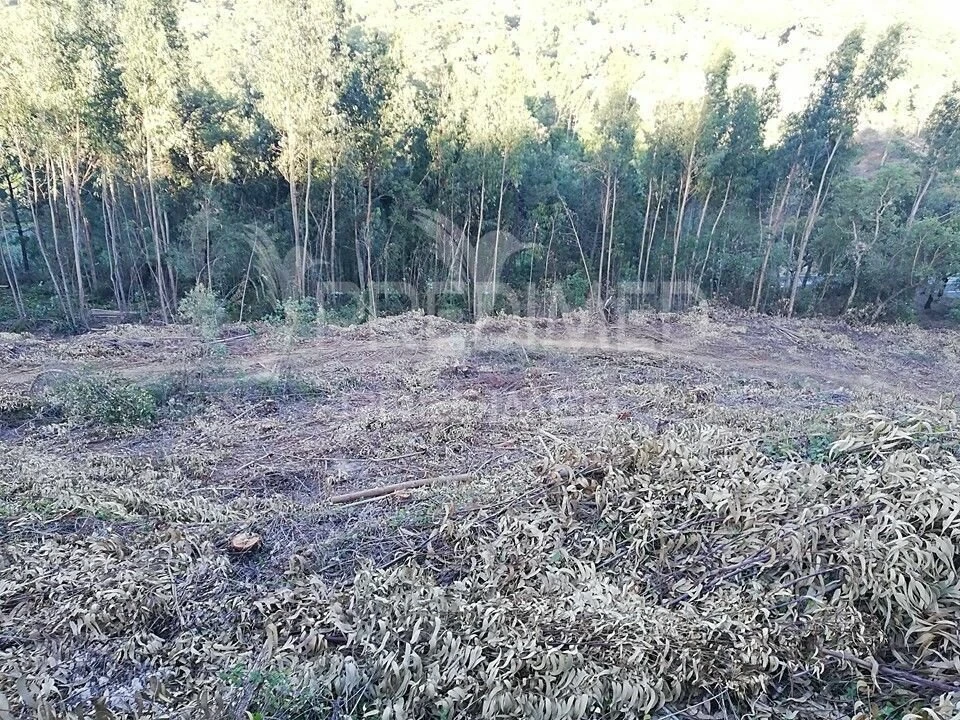 Terreno para Venda em Lousa Foto 3