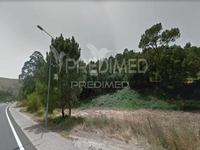 Terreno para Venda em Lousa Foto 4