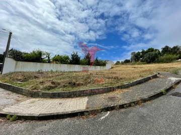 Terreno para Venda em Chamusca e Pinheiro Grande