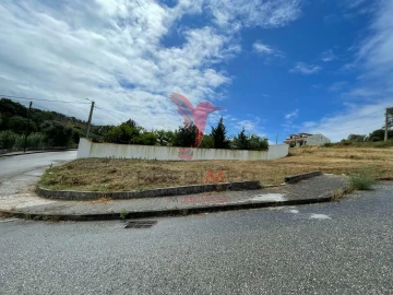 Terreno para Venda em Chamusca e Pinheiro Grande