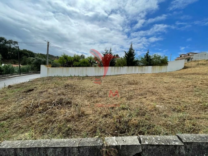 Terreno para Venda em Chamusca e Pinheiro Grande Foto 4