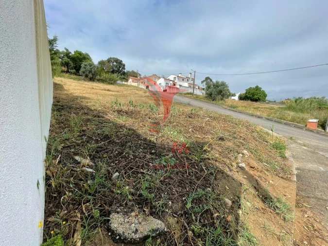 Terreno para Venda em Chamusca e Pinheiro Grande Foto 3