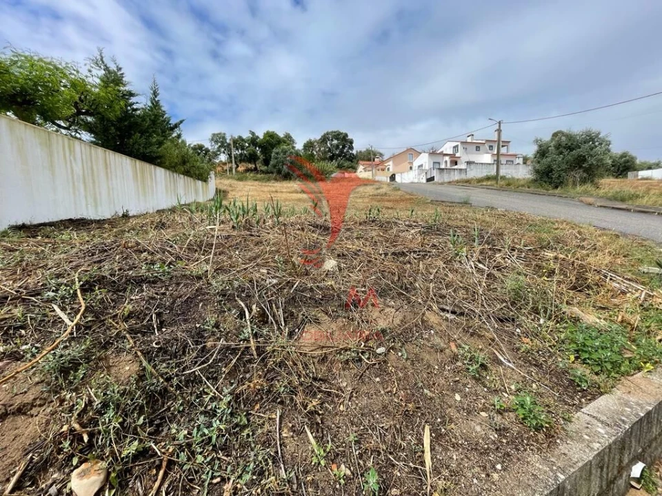 Terreno para Venda em Chamusca e Pinheiro Grande Foto 1