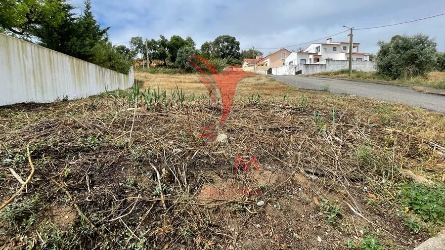 Terreno para Venda em Chamusca e Pinheiro Grande
