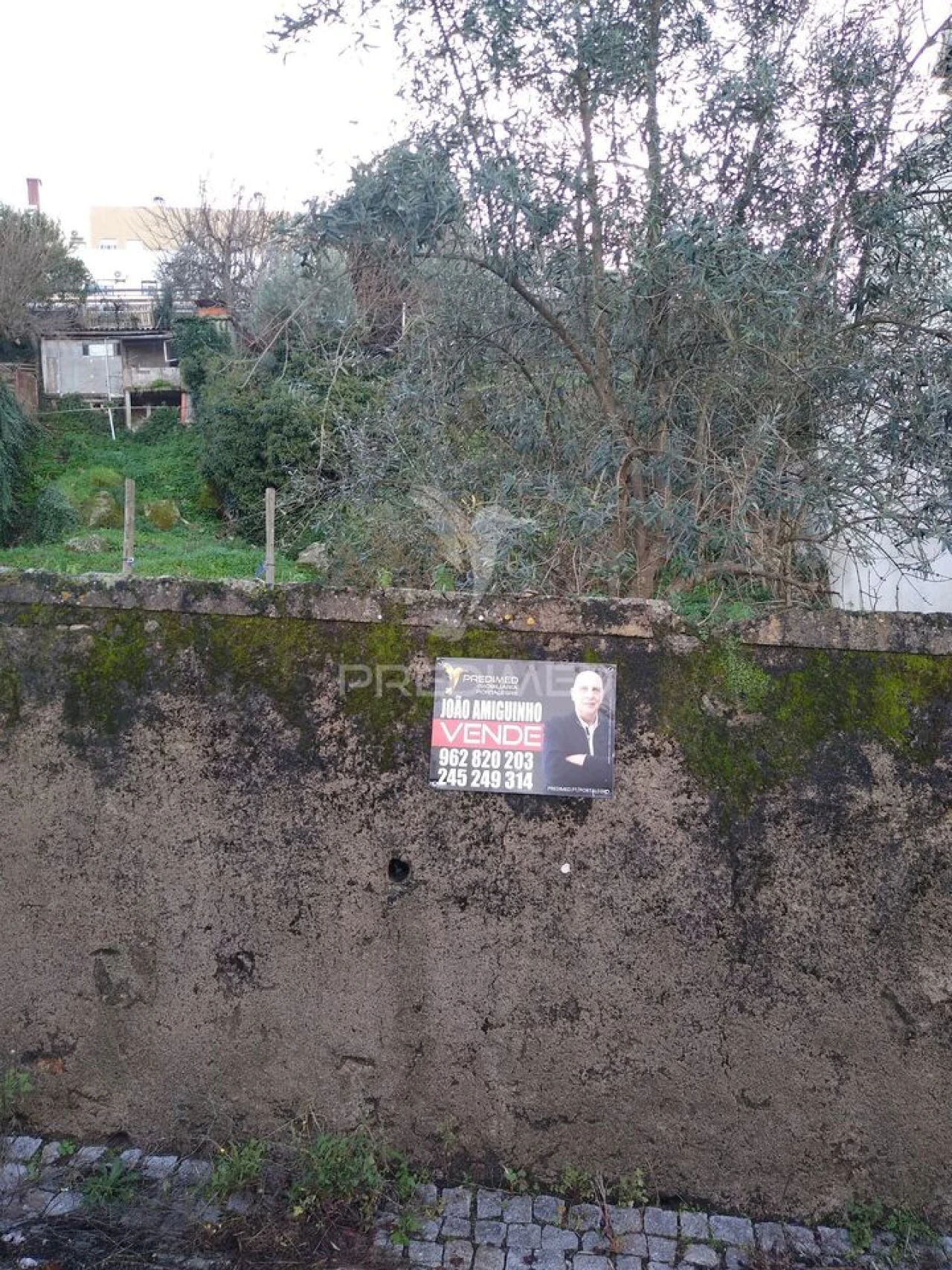 Terreno para Venda em Sé e São Lourenço Foto 1