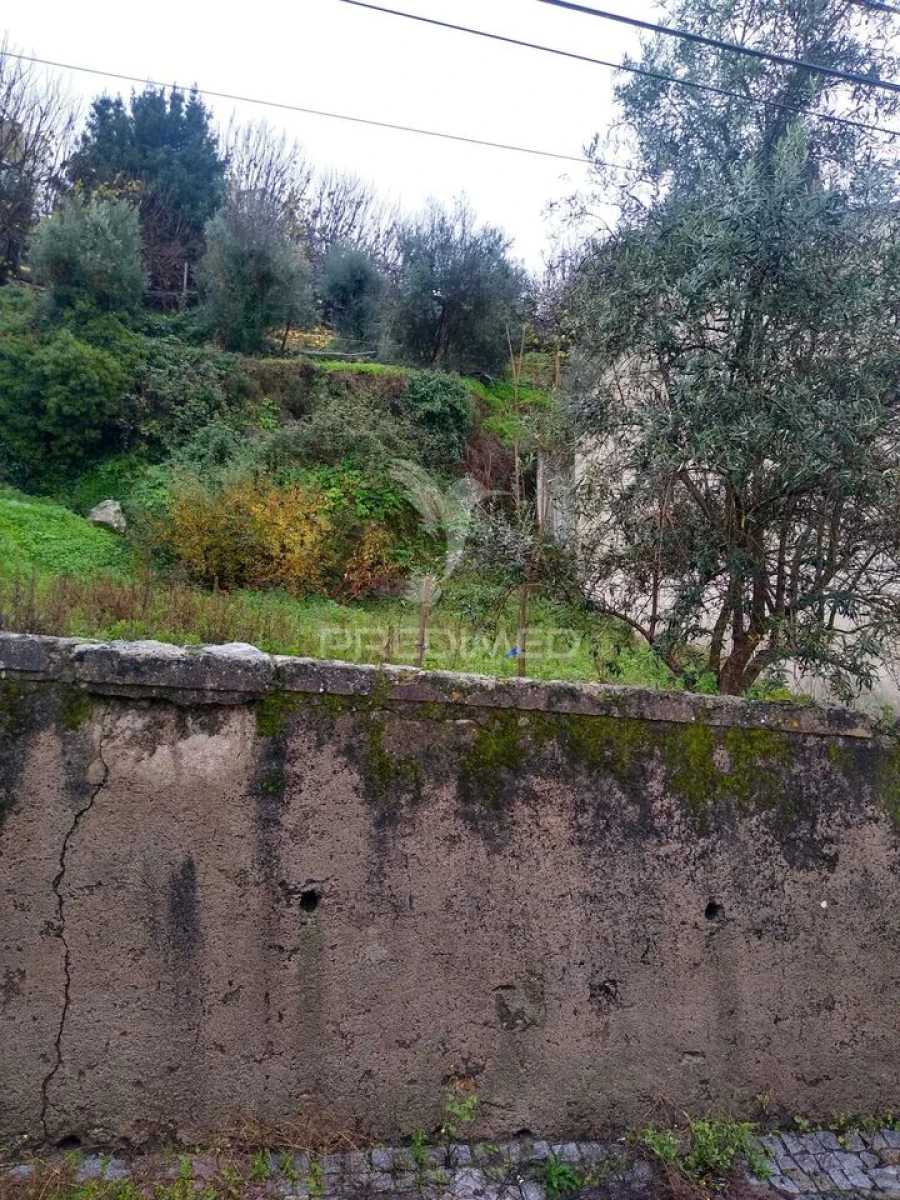 Terreno para Venda em Sé e São Lourenço Foto 2
