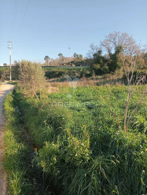 Terreno para Venda em Porto de Mós - São João Baptista e São Pedro