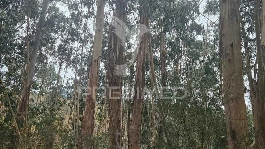 Terreno para Venda em Moreira do Rei e Várzea Cova