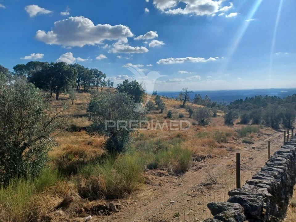 Terreno para Venda em Sé e São Lourenço Foto 1