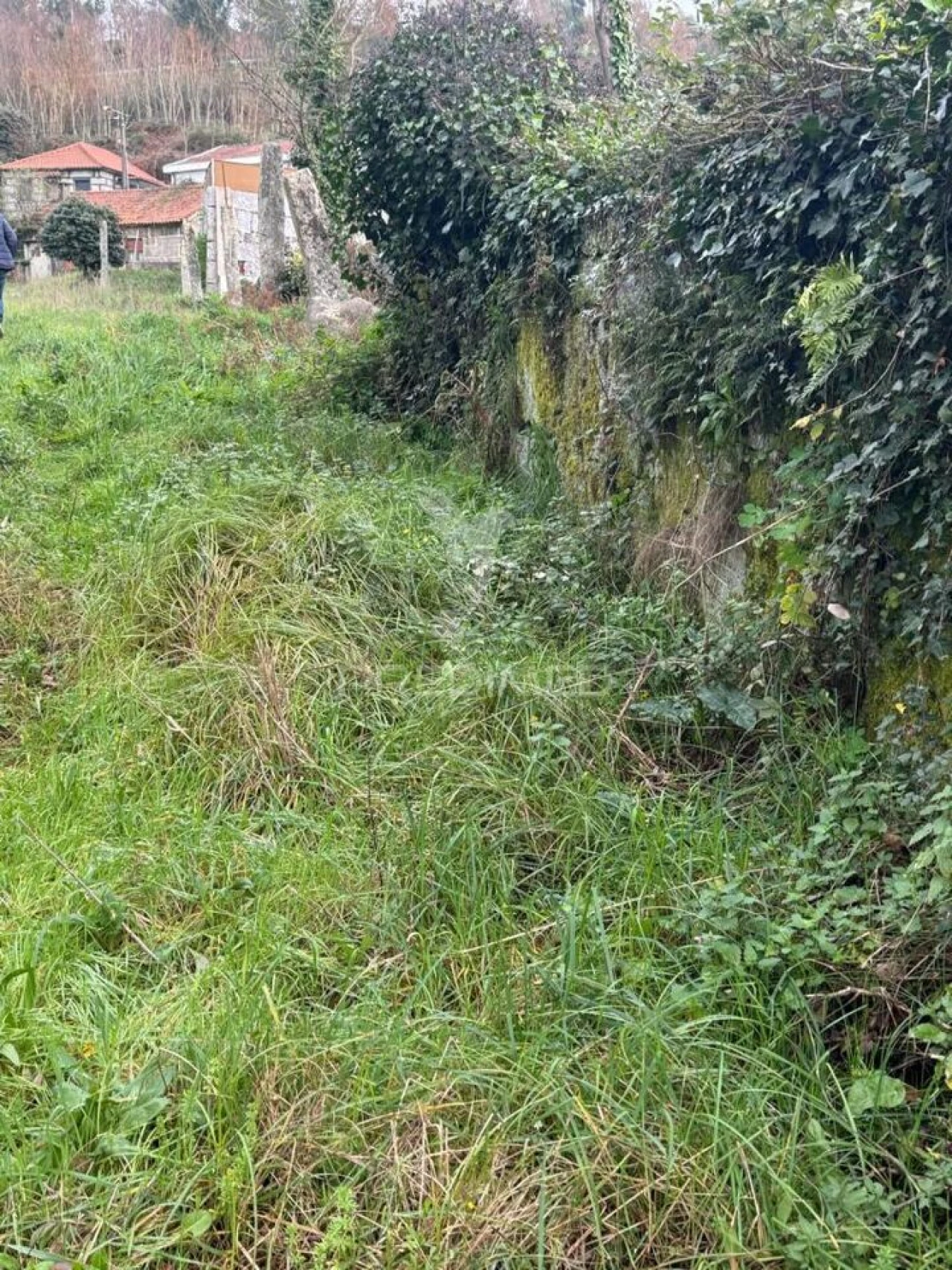 Quinta T3 para Venda em Antime e Silvares (São Clemente) Foto 13