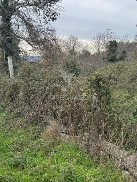 Quinta T3 para Venda em Antime e Silvares (São Clemente)