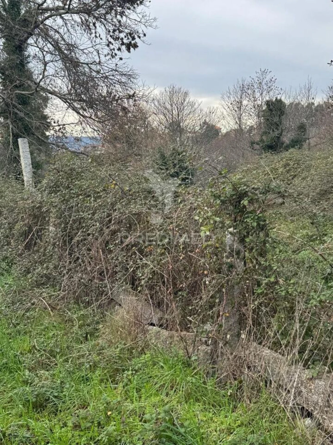 Quinta T3 para Venda em Antime e Silvares (São Clemente) Foto 14