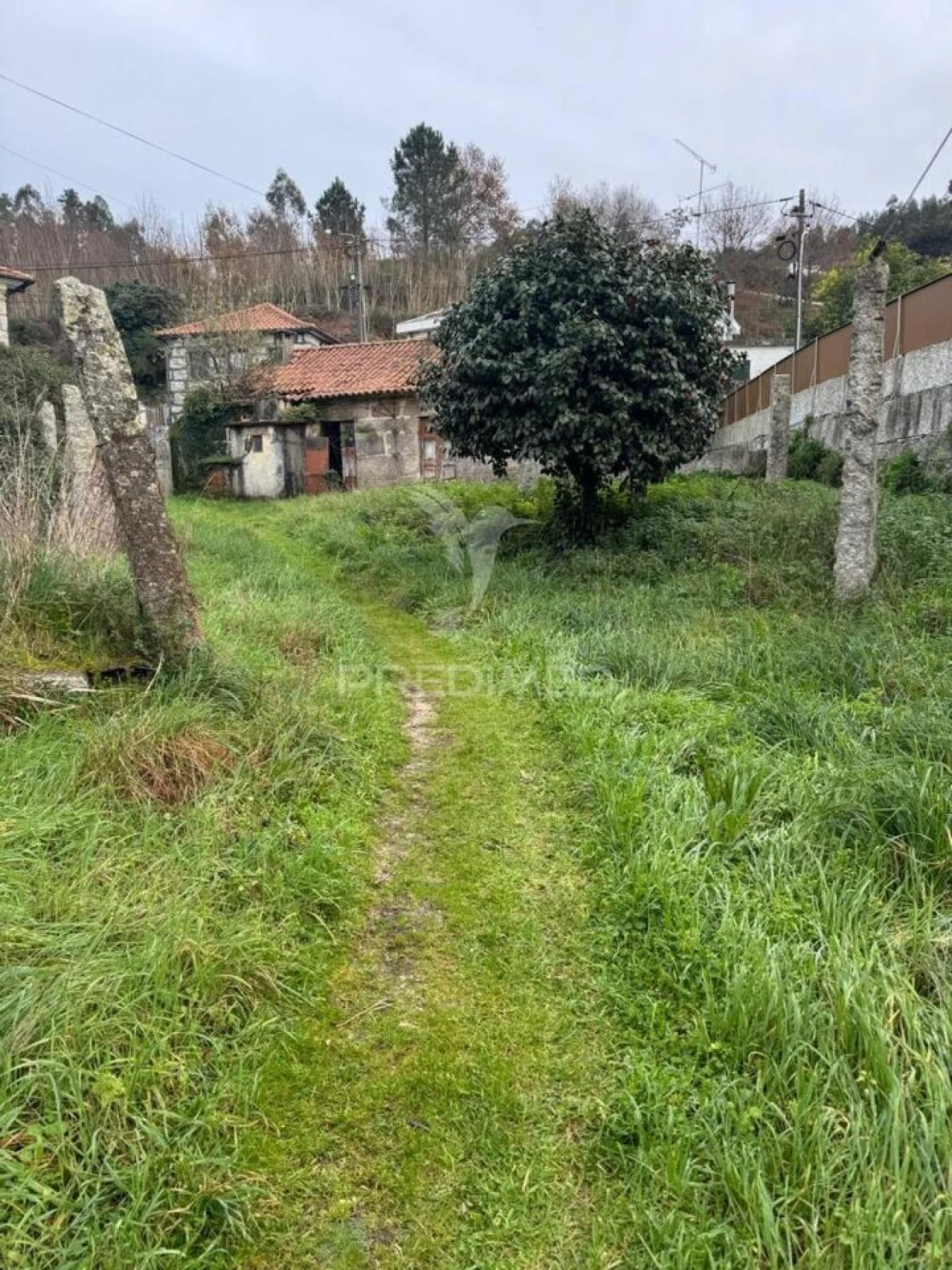 Quinta T3 para Venda em Antime e Silvares (São Clemente) Foto 9
