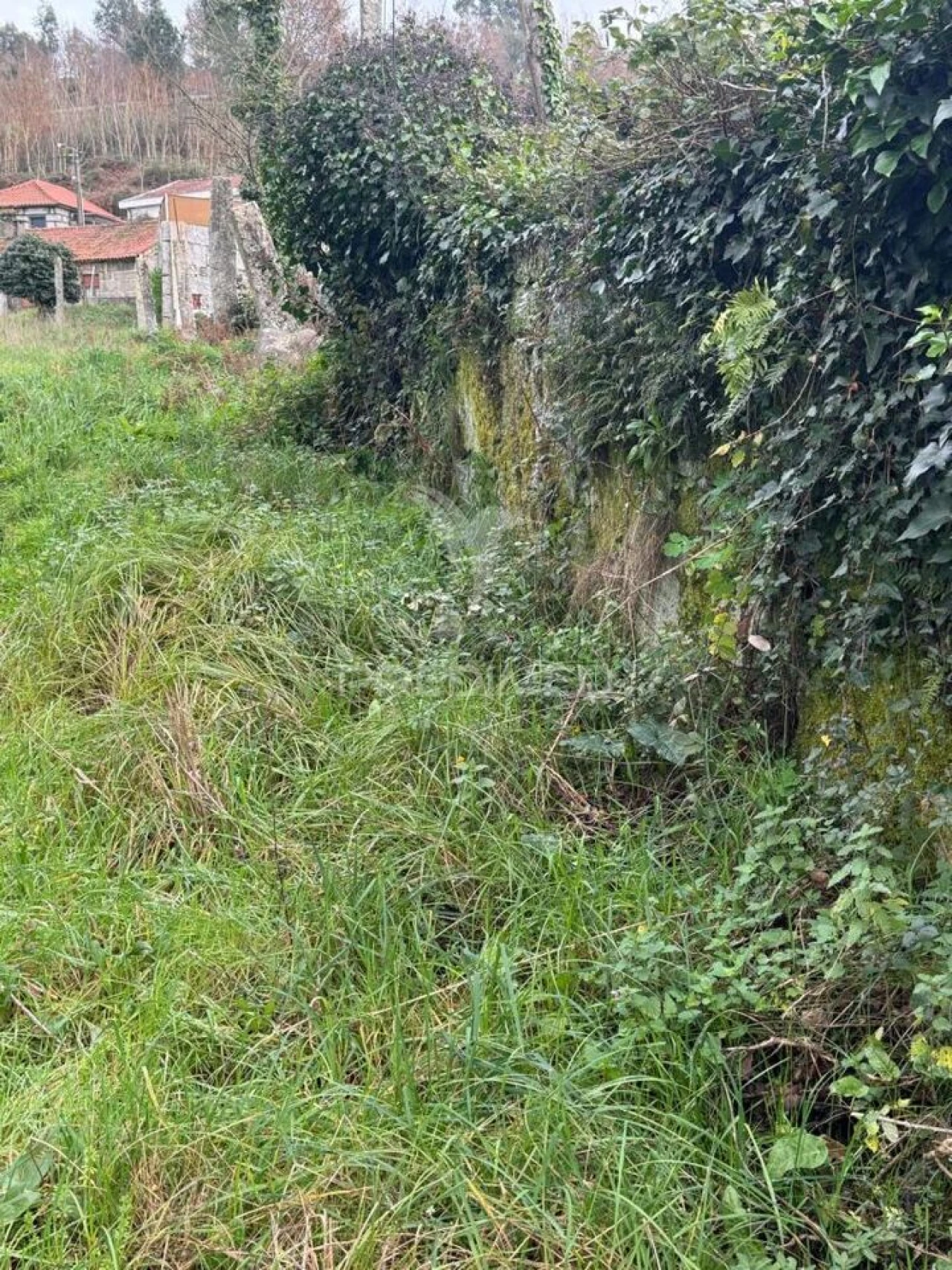 Quinta T3 para Venda em Antime e Silvares (São Clemente) Foto 12