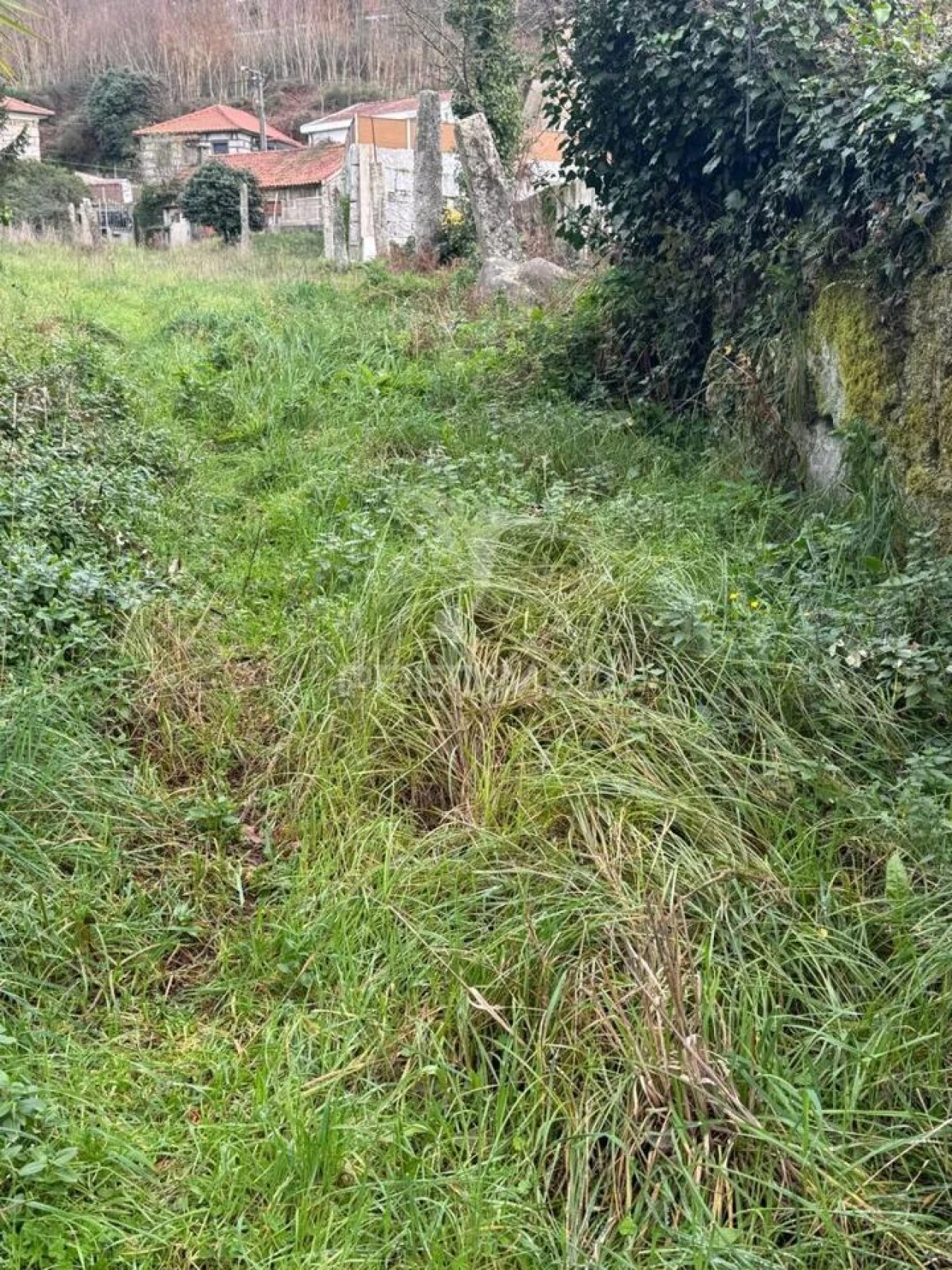 Quinta T3 para Venda em Antime e Silvares (São Clemente) Foto 8